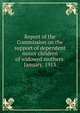 Report of the Commission on the support of dependent minor children of widowed mothers. January, 1913, 