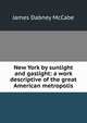 New York by sunlight and gaslight: a work descriptive of the great American metropolis, McCabe James Dabney 