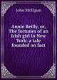 Annie Reilly, or, The fortunes of an Irish girl in New York: a tale founded on fact, John McElgun 