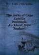 The rocks of Cape Colville Peninsula, Auckland, New Zealand, W J. 1849-1936 Sollas 