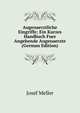 Augenaerztliche Eingriffe; Ein Kurzes Handbuch Fuer Angehende Augenaerzte (German Edition), Josef Meller 