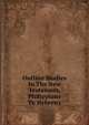 Outline Studies In The New Testament, Philippians To Hebrews, 