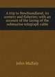 A trip to Newfoundland; its scenery and fisheries; with an account of the laying of the submarine telegraph cable, John Mullaly 