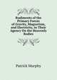 Rudiments of the Primary Forces of Gravity, Magnetism, and Electricity, in Their Agency On the Heavenly Bodies, Patrick Murphy 