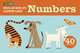 Write-On Wipe-Off Learning Cards: Numbers (40 cards), Flash Kids Editors 