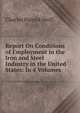 Report On Conditions of Employment in the Iron and Steel Industry in the United States: In 4 Volumes ., Charles Patrick Neill 