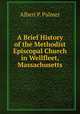 A Brief History of the Methodist Episcopal Church in Wellfleet, Massachusetts, Albert P. Palmer 