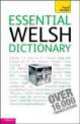 Teach Yourself Essential Welsh Dictionary, Edwin C. Lewis 