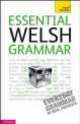 Teach Yourself Essential Welsh Grammar, Christine Jones 