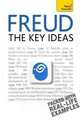 Freud - The Key Ideas: Teach Yourself, Snowden, Ruth 