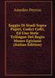 Saggio Di Studi Sopra Papiri, Codici Cofti, Ed Uno Stele Trilingue Del Regio Museo Egiziano (Italian Edition), Amedeo Peyron 