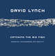 Catching the Big Fish: Meditation, Consciousness, and Creativity, David Lynch 