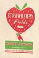 Strawberry Fields HB, Lewycka, Marina 