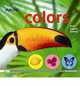 Eyelike Colors, PlayBac Publishing 