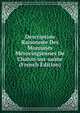 Description Raisonnee Des Monnaies Merovingiennes De Chalon-sur-saone (French Edition), 