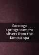 Saratoga springs: camera slivers from the famous spa, 