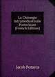 La Chirurgie Intramediastinale Posterieure (French Edition), Jacob Potarca 