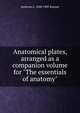 Anatomical plates, arranged as a companion volume for "The essentials of anatomy", Ambrose L. 1848-1905 Ranney 