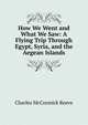 How We Went and What We Saw: A Flying Trip Through Egypt, Syria, and the Aegean Islands, Charles McCormick Reeve 