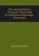 The natural history of insects: Illustrated by numerous engravings. First series, James Rennie 