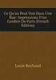 Ce Qu'on Peut Voir Dans Une Rue: Impressions D'un Gardien De Paris (French Edition), Louis Reybaud 