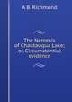 The Nemesis of Chautauqua Lake; or, Circumstantial evidence, A B. Richmond 