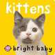 Kittens board book, 