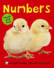 Numbers (board book), Roger Priddy 