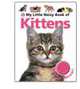 My Little Noisy Book of Kittens, 