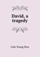 David, a tragedy, Cale Young Rice 