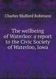 The wellbeing of Waterloo: a report to the Civic Society of Waterloo, Iowa, Robinson, Charles Mulford, 1869-1917 
