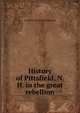 History of Pittsfield, N. H. in the great rebellion, H L. [from old catalog] Robinson 