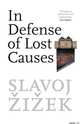 In Defense of Lost Causes, Slavoj Zizek 