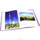 Art and Architecture of the 20th Century: Volume 1: Art and Architecture of thq Early 20th Century, Доротея Эймерт 