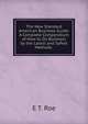 The New Standard American Business Guide: A Complete Compendium of How to Do Business by the Latest and Safest Methods ., E T. Roe 