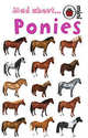 Mad about... Ponies, Sandy Ransford 