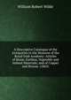 A Descriptive Catalogue of the Antiquities in the Museum of the Royal Irish Academy: Articles of Stone, Earthen, Vegetable and Animal Materials; and of Copper and Bronze. (1863), William Robert Wilde 