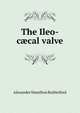 The Ileo-c?cal valve, Alexander Hamilton Rutherford 