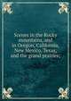 Scenes in the Rocky mountains, and in Oregon, California, New Mexico, Texas, and the grand prairies;, 