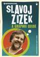 Introducing Slavoj Zizek: A Graphic Guide, Christopher Kul-Want 