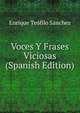 Voces Y Frases Viciosas (Spanish Edition), Enrique Teofilo Sanchez 