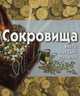 Древний Рим (+ CD-ROM), Филипп Уилкинсон 