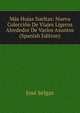 Mas Hojas Sueltas: Nueva Coleccion De Viajes Ligeros Alrededor De Varios Asuntos (Spanish Edition), Jose Selgas 