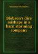 Blobson's dire mishaps in a barn storming company, Mortimer M Shelley 
