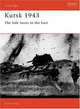 Kursk 1943: The Tide Turns In The East, Healy Mark 