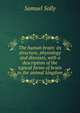 The human brain: its structure, physiology and diseases, with a description of the typical forms of brain in the animal kingdom, Samuel Solly 