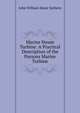 Marine Steam Turbine: A Practical Description of the Parsons Marine Turbine, John William Major Sothern 