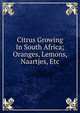 Citrus Growing In South Africa; Oranges, Lemons, Naartjes, Etc., 