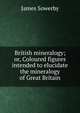 British mineralogy; or, Coloured figures intended to elucidate the mineralogy of Great Britain, James Sowerby 