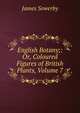 English Botany;: Or, Coloured Figures of British Plants, Volume 7, James Sowerby 